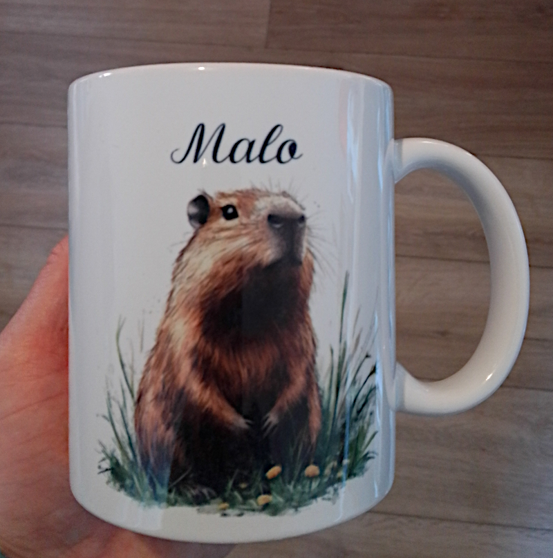 Mug personnalisé capybara et prénom, cadeau fan de rongeurs

